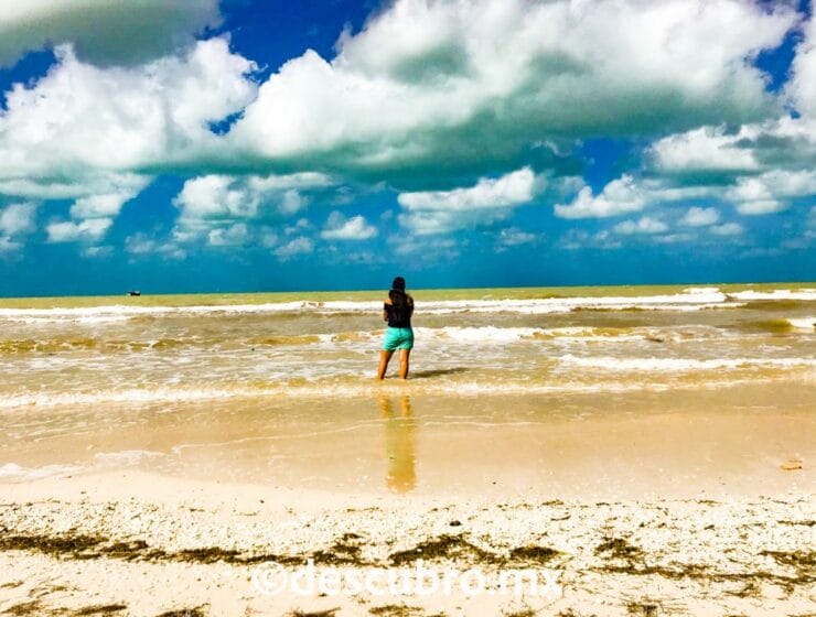 Playa-puerto progreso