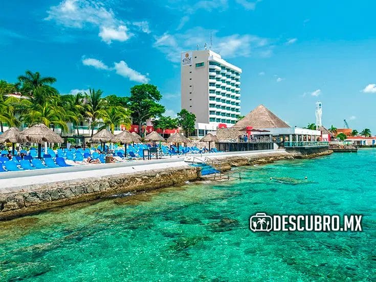 En Cozumel podrás encontrar diferentes opciones dependiendo de tus gustos y presupuesto.