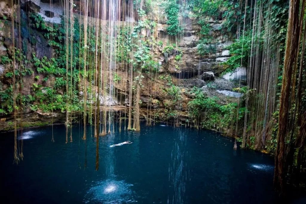 Cerca de Mérida hay varios cenotes en los que puedes huir del calor.