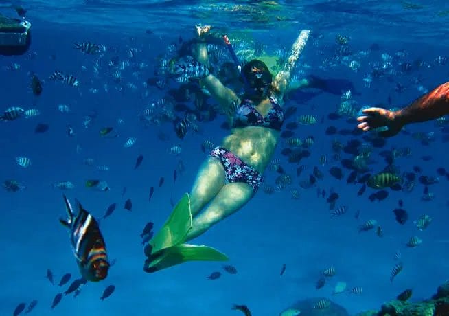 Conoce las mejores playas que debes visitar en Cozumel.