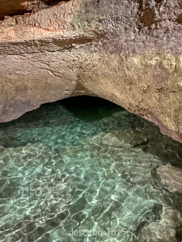 Aguas cristalinas del Cenote Sambulá en Motul 