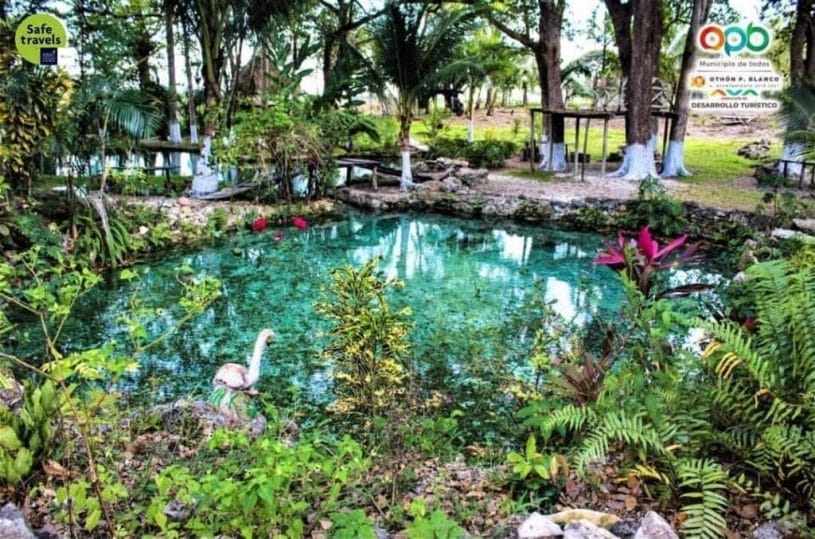 “El Manantial”, una formación de agua proveniente del Rio Hondo de hermosos paisajes con colorida flora y fauna