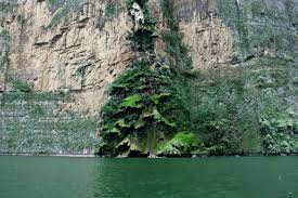La cascada árbol de Navidad del Cañón del sumidero es uno de los sitios emblemáticos de chiapas