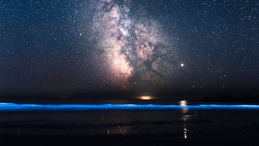 El cielo estrellado de Holbox es único, así que no dudes en admirarlo cada noche que te quedes en la isla.