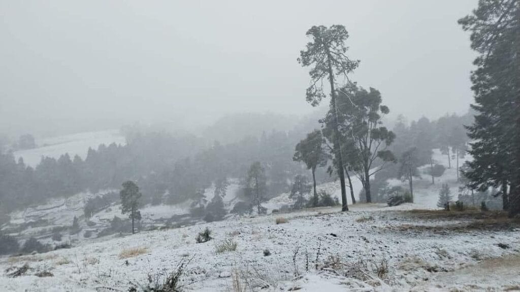 La belleza del Nevado de Toluca completamente blanco es un espectáculo que no te puedes perder. Foto: Facebook/Noti Temas