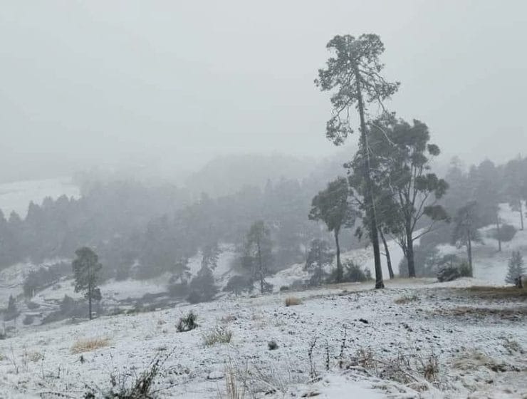 Así son las imágenes del Nevado de Toluca completamente blanco HOY