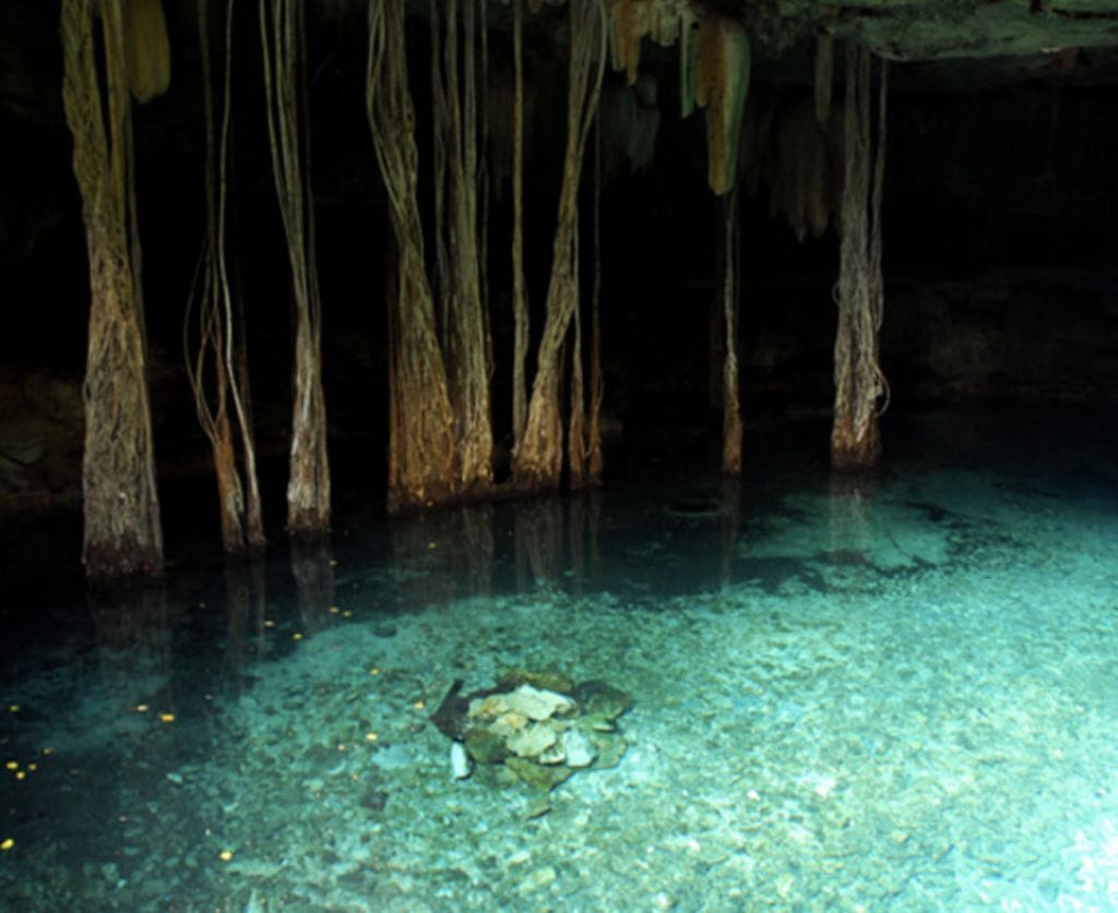 Las aguas cristalinas  del Cenote Kankirixche que se tiñen de un azul turquesa dejan impresionados a los turistas que se adentran a conocerlo