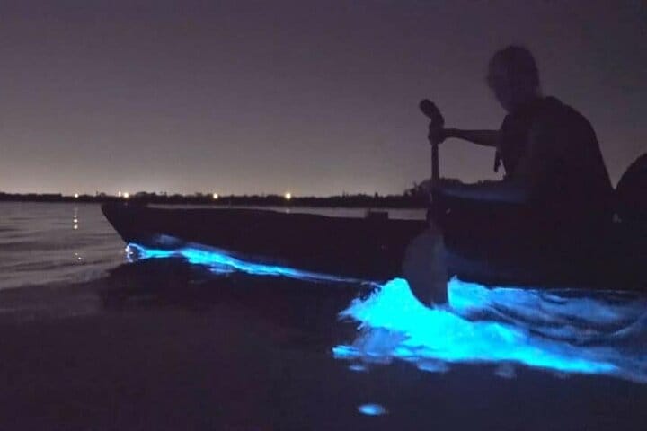 Nocturno con bioluminiscencia, este es uno de los recorridos más espectaculares