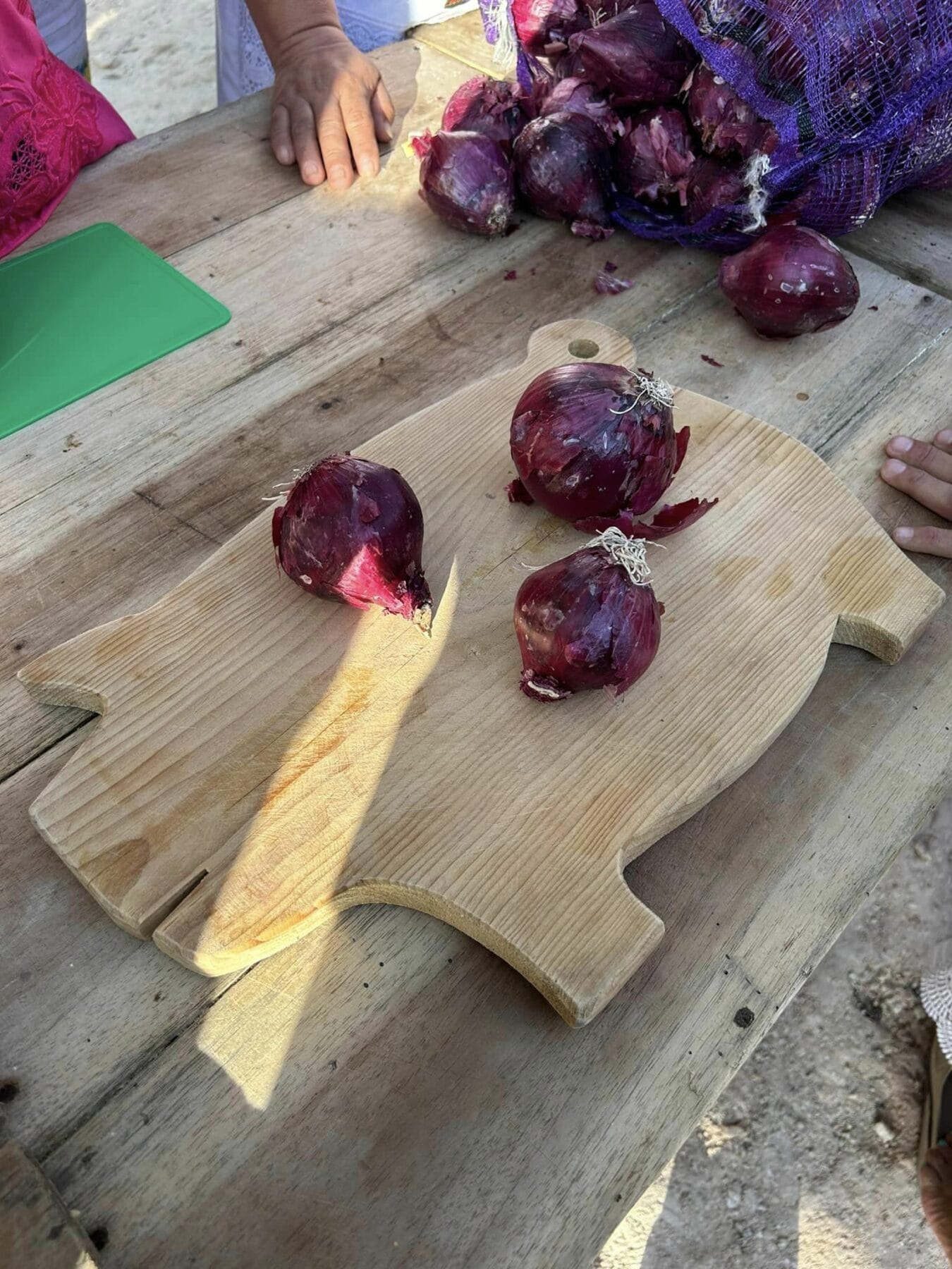 Dzan cebolla, la tradición cultural y religiosa del estado de Yucatán ...