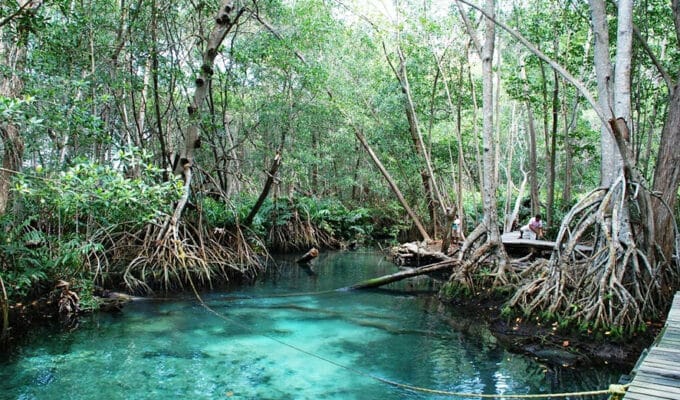 Parque ecoturistico Jaltún, un rincón de Celestún que debes conocer