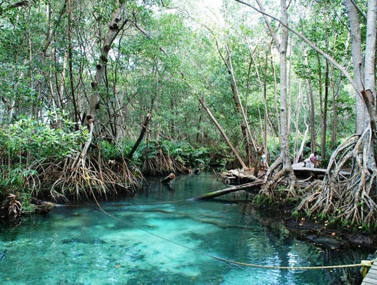 Parque ecoturistico Jaltún, un rincón de Celestún que debes conocer