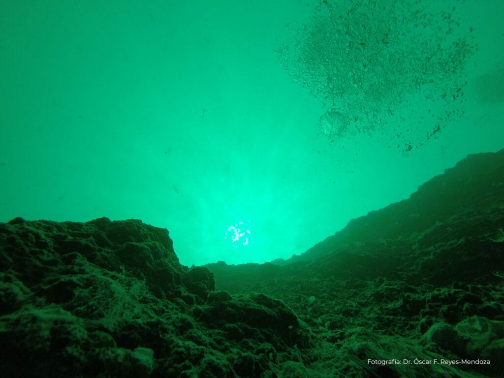 Asi es el agujero azul Taam ja' en su interior