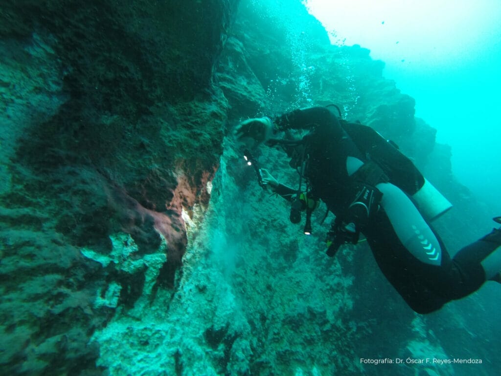 Científicos e investigadores analizan el agujero azul de Taam ja'