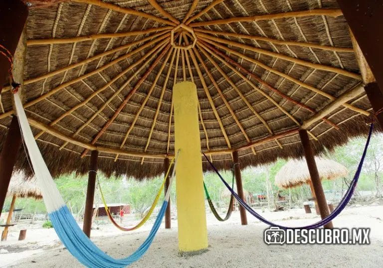 El parador ecoturístico del cenote es un lugar dónde podrás relajarte y descansar bajo las palapas en una hamaca