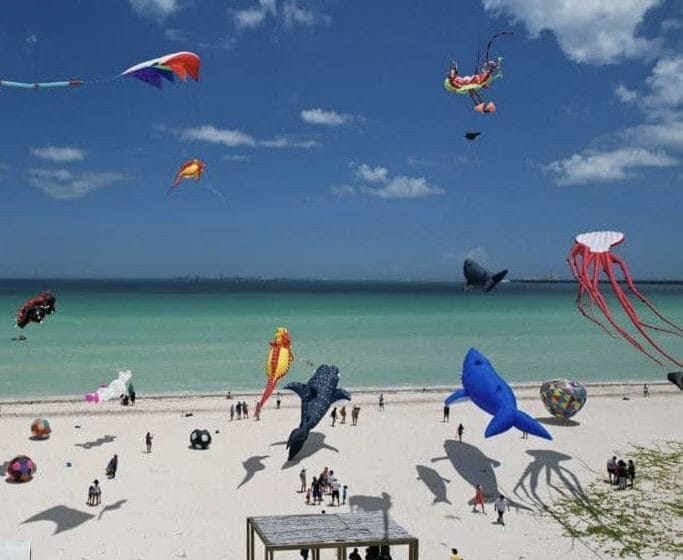 Festival papagayos y cometas progreso