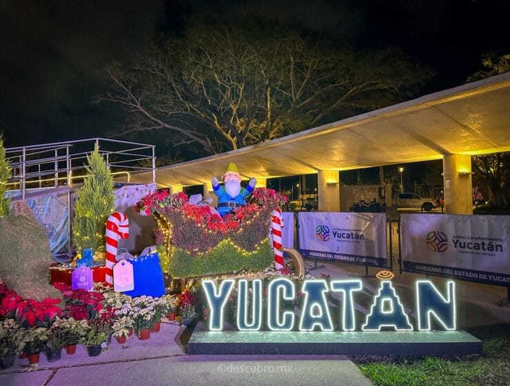 que hacer en navidad yucatán