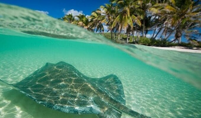Islas en Quintana Roo