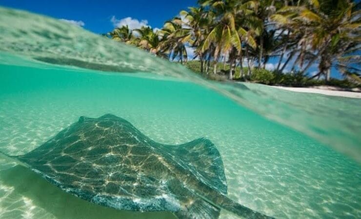 Islas en Quintana Roo