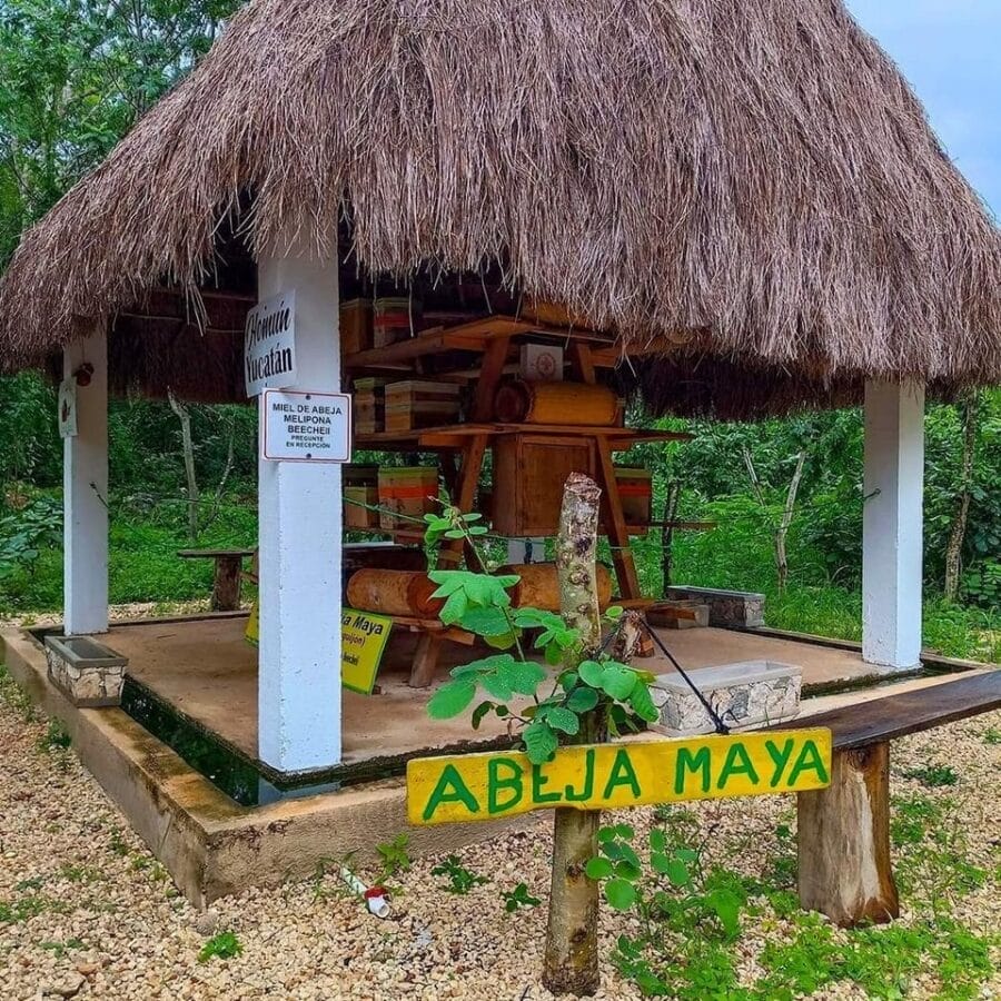 pasadías en Yucatán