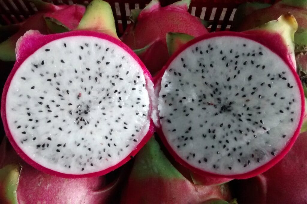 Frutas exóticas de Yucatán